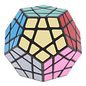 ShengShou Dodecahedron 12 Color Megaminx Magic Cube (Black Base)