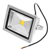 20W 3000K Warm White Light Led Flood Light AC110/220V