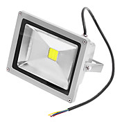 20W 6000K White Light Led Flood Light AC110/220V