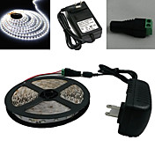 5M 300X3528 Smd White Led Strip Light and Connector and Ac110-240V to Dc12V3A Transformer