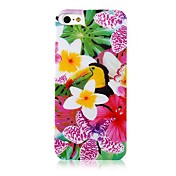 Morning Glory Pattern Back Case for iPhone 5/5S                                                              