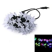 5m 12w lumière rgb 50-conduit de lumière LED Décoration de Noël 5 étoiles Lampe LED string (220v)