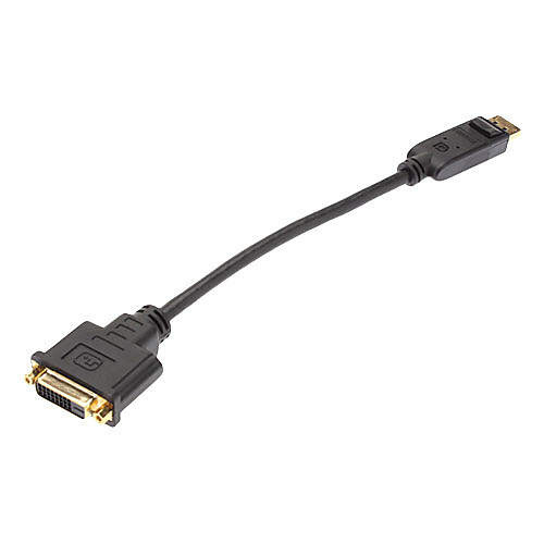 Мужчина DisplayPort к DVI 24 1 Женский кабельного Черный (0,1 М)