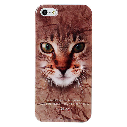 животных серии Cat Pattern Пластиковый корпус для iphone 5/5s