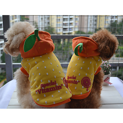 Прекрасный оранжевый стиль берберских руно толстовки для собак (XS-XL)