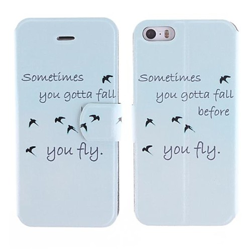 Fly Design PU Full Body Case with Card Slot for iPhone 5/5S