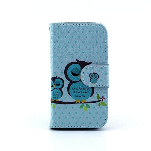 Big and Small Bemused Owl Pattern PU Leather Full Body Case for iPhone 4/4S