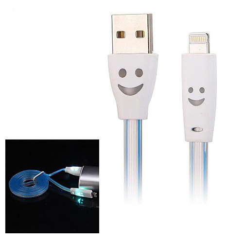 LED Light Flashing 8 Pin to USB Data Charging Cable for iPhone 5S iPad mini iPad Air and others(1M Assorted Color)