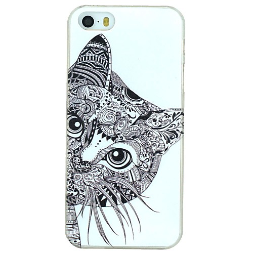 Long Beard Cat Pattern PC Hard Back Cover Case for iPhone 5/5S