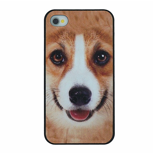 Small Yellow Dog Pattern PC Hard Back Cover Case for iPhone 4/4S