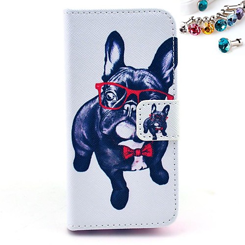 With Eyes Of A Dog Pattern PU Leather Full Body Case with Card Slot and Stand for iPhone 5C