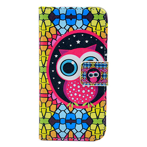 Cute Owl And Folk Style Pattern PU Leather Full Body Case for iPhone 5/5S