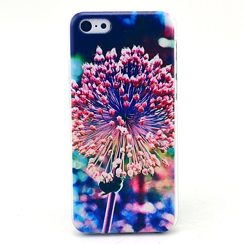 Beautiful Flower and  Bee Pattern Hard Cover Case for iPhone 5C