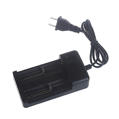 Dual AC Power Adapter Charger for 18650/26650/16340/14500 Battery(AC 110~240V DC 5V)