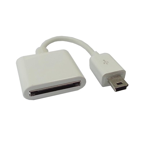 Ipad iphone док 30pin женщиной Mini USB 5P мужской адаптер заряд данные белый / черный