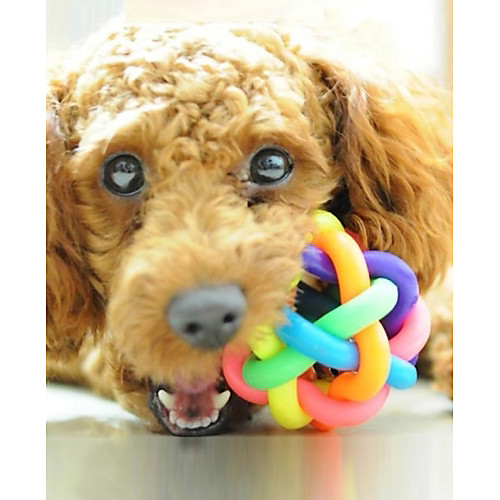 Dog Toy Bell Multicolor Winding Style Chewing Toy for Pets Dogs Cats (1-Piece,Random Color)