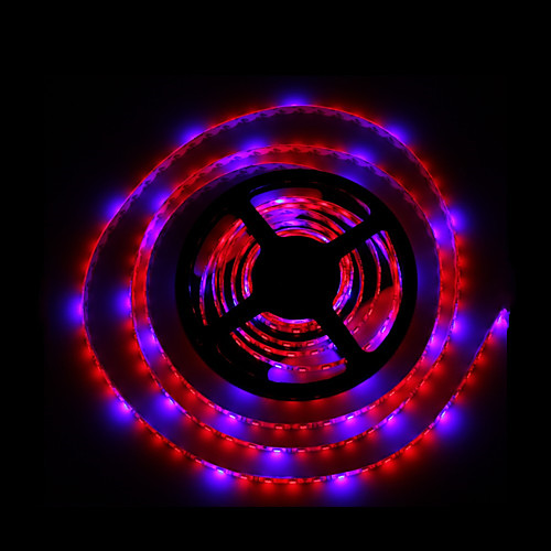 5m smd5050 4red1blue 300led ip65 гидропонные системы привели завод расти легкий водонепроницаемый привело расти полосы света (dc12v)
5m smd5050 4red1blue 300led ip65 гидропонные системы привели завод расти легкий водонепроницаемый привело расти полосы света (dc12v)