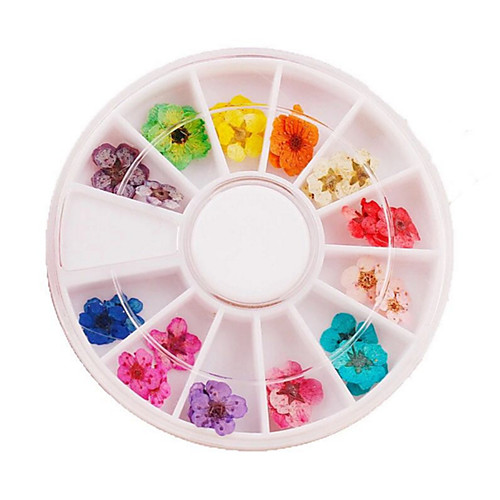 1 pcs For Finger Nail Fashion Famous nail art Manicure Pedicure Daily Fashion
1 pcs For Finger Nail Fashion Famous nail art Manicure Pedicure Daily Fashion