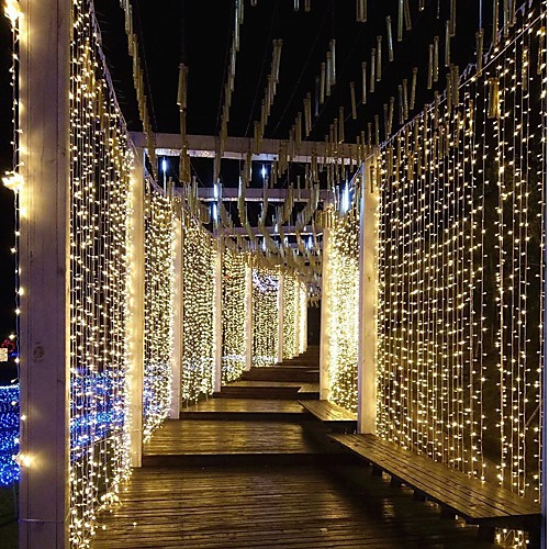 3m3m 300 LEDs Curtain lights Dip Led Blue Multi Color White Party Decorative Linkable 220-240 V 1pc
3m3m 300 LEDs Curtain lights Dip Led Blue Multi Color White Party Decorative Linkable 220-240 V 1pc