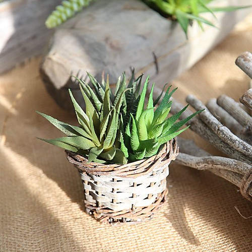 Artificial Flowers 1 Branch Classic Modern Pastoral Style Eternal Flower Succulent plants Tabletop Flower
Artificial Flowers 1 Branch Classic Modern Pastoral Style Eternal Flower Succulent plants Tabletop Flower