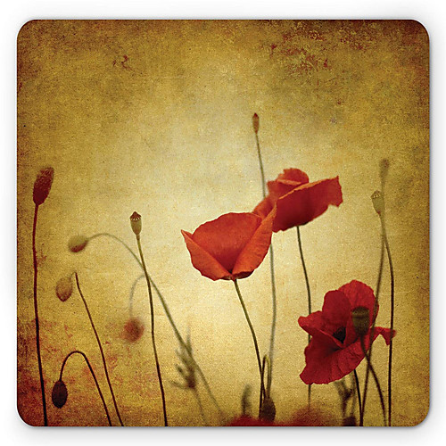 A16 Game Mouse Pad Big Game Pad 2218CM Fabric Smooth Thin And Light Electronic Competition 1PCS
A16 Game Mouse Pad Big Game Pad 2218CM Fabric Smooth Thin And Light Electronic Competition 1PCS