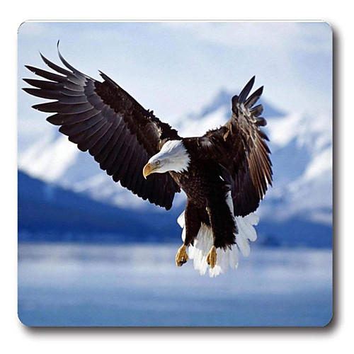 A16 Game Mouse Pad Big Game Pad 2218CM Fabric Smooth Thin And Light Electronic Competition 1PCS
A16 Game Mouse Pad Big Game Pad 2218CM Fabric Smooth Thin And Light Electronic Competition 1PCS