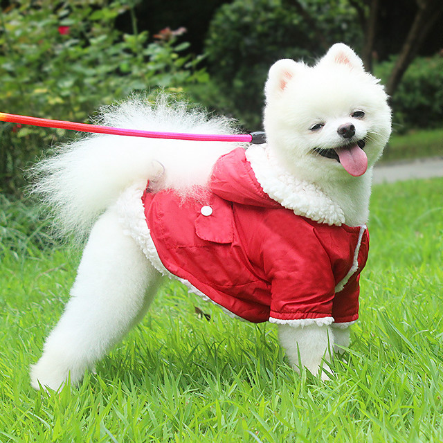 polaire et doublure sweat à capuche extra chaud pour chien en hiver, veste pour petit chien manteaux