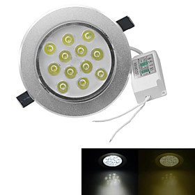 3000-3200/6000-6500 lm 12 leds High Power LED Warm White Cold White AC 100-240V