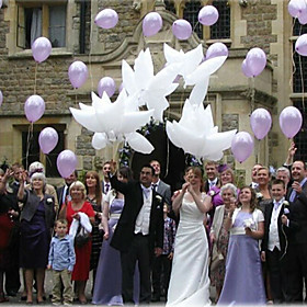 5pcs Big Size 1055x42cm Helium Pigeon Wedding Balloon Party Decoration White Pigeon Balloon10542cm