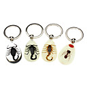 Keychain ambre en fo...