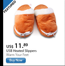 USB Heated Slippers