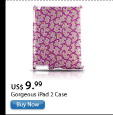Gorgeous iPad 2 Case