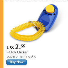 i-Click Clicker