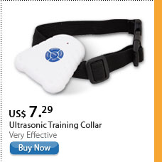 Ultrasonic Training Collar