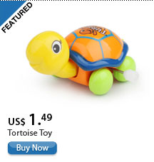 Tortoise Toy