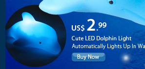 Cute LED Dolphin Light