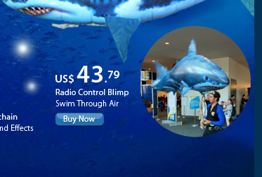 Radio Control Blimp