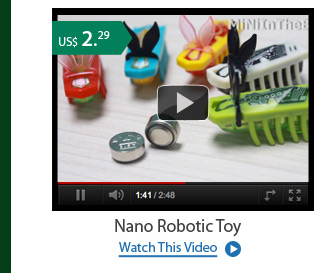 Nano Robotic Toy