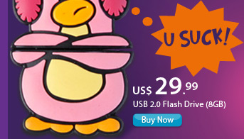 USB 2.0 Flash Drive (8GB)