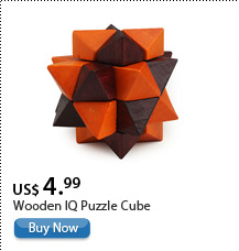 Wooden IQ Puzzle Cube