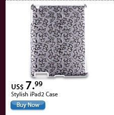 Stylish iPad2 Case