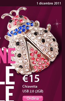 Chiavetta USB 2.0 (2GB)