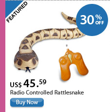 Radio Controlled Rattlesnake