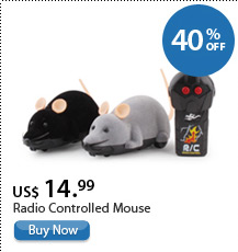 Radio Controlled Mouse