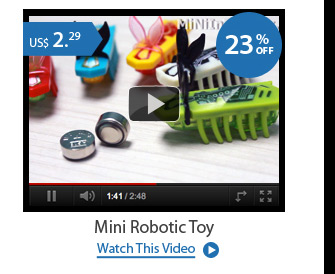 Mini Robotic Toy
