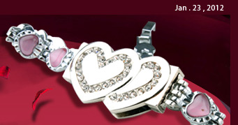 USB Drive Bracelet(8GB)