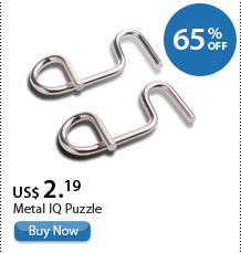 Metal IQ Puzzle