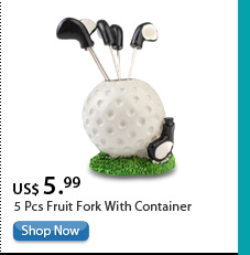 5 Pcs Fruit Fork With Container