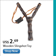Wooden Slingshot Toy
