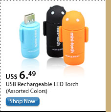 USB Rechargeable LED Torch (Assorted Colors)